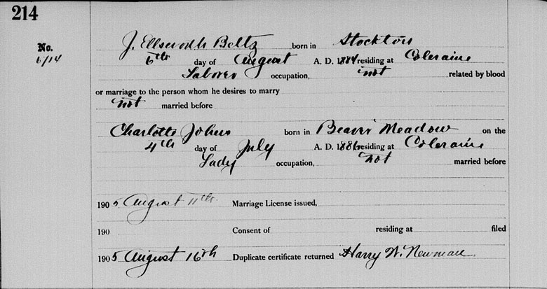 Marriage License of John Ellsworth Betz and Charlotte Johns