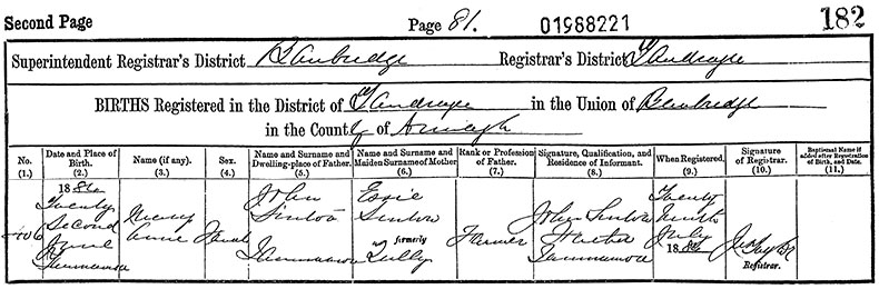 Birth Certificate of Mary Ann Sinton - 22 June 1884