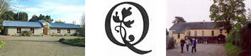 Quakers in Ireland logo
