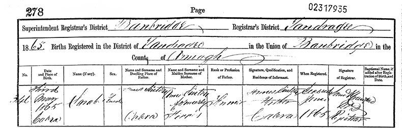 Birth Certificate of Sarah Sinton of Cabra - 3 May 1865