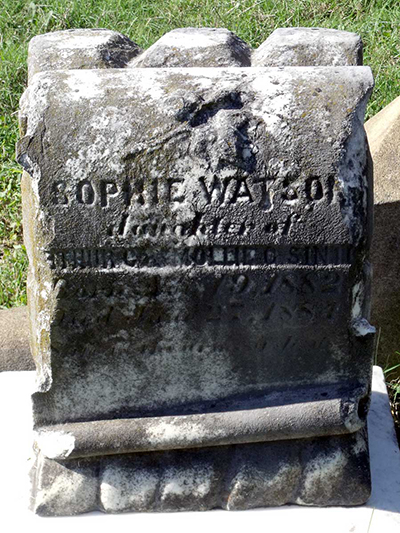 Sophie Watson Sinton 1882 - 1884