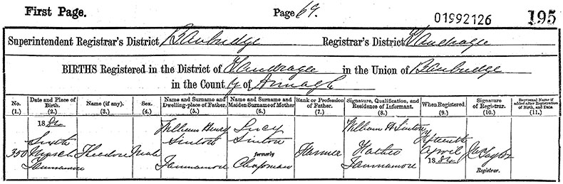 Birth Certificate of Theodore Sinton - 6 March 1884