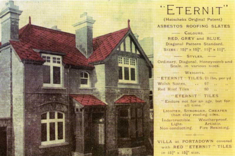 FRIENDS LODGE shortly after erection with promotional material for "ETERNIT" roof tiles